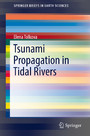 Tsunami Propagation in Tidal Rivers