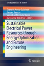 Sustainable Electrical Power Resources through Energy Optimization and Future Engineering